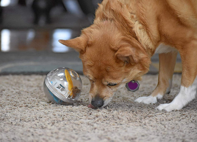 Pet Zone IQ Treat Ball - Adjustable Dog Treat Dog Ball & Treat Dispensing