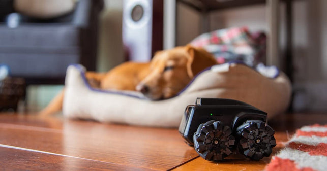 Moorebot Scout - Tiny Ai-Powered Smart Camera Mobile Robot for Monitoring, Work with Alexa and Google Home, 1080P, Human and Pets Recognition, FWD Mecanum Wheels, Auto Patrol and Docking, Night Vision - The Gadget Collective