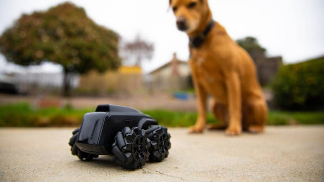 Moorebot Scout - Tiny Ai-Powered Smart Camera Mobile Robot for Monitoring, Work with Alexa and Google Home, 1080P, Human and Pets Recognition, FWD Mecanum Wheels, Auto Patrol and Docking, Night Vision - The Gadget Collective