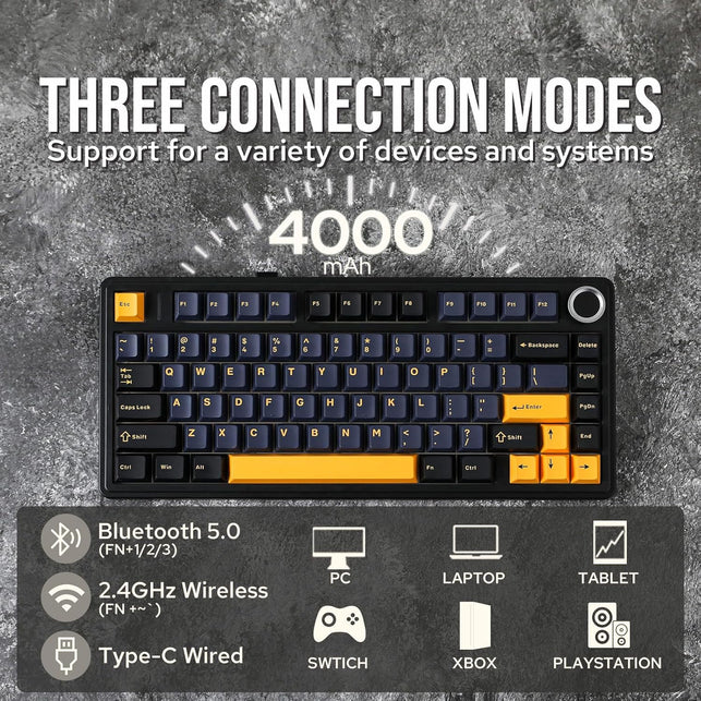 EPOMAKER X Aula F75 Gasket Mechanical Keyboard, 75% Wireless Hot Swappable Gaming Keyboard with Five-Layer Padding&Knob, Bt/2.4Ghz/Usb-C, RGB (Black, LEOBOG Reaper Switch)