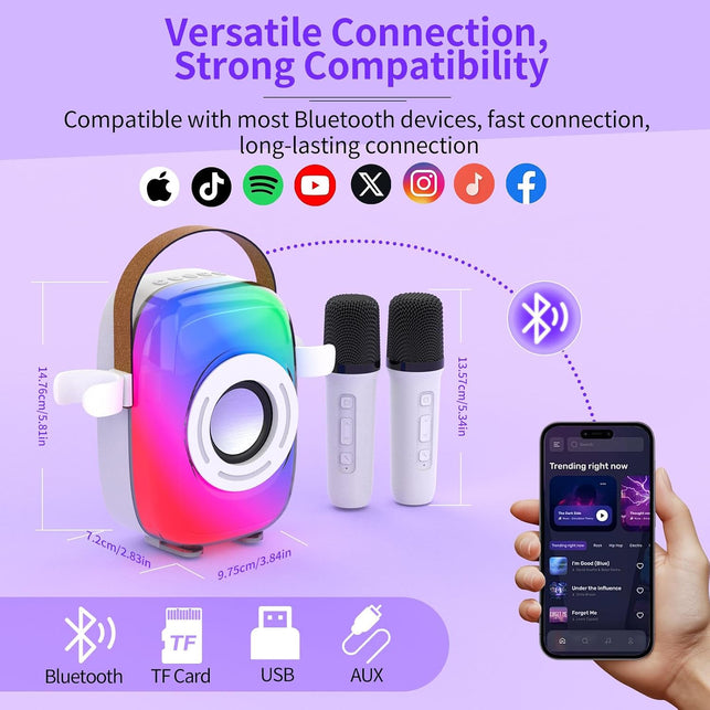 Mini Karaoke Machine for Kids Adults, Portable Bluetooth Microphone Singing Speaker Karaoke Player 5 Sound Effects with 2 Wireless Mic and Stand Birthday Gifts for Girls Boys Family Home Party