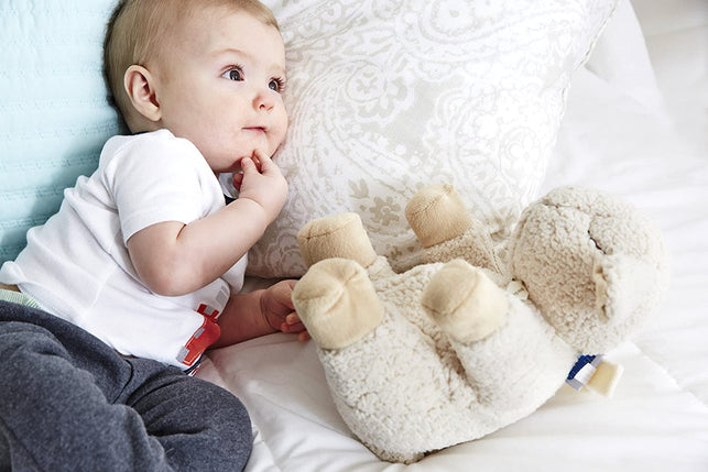 Cloud b Sleep Sheep Sound Soother