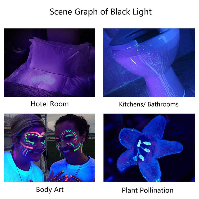 Escolite UV Flashlight Black Light 51 LED Ultraviolet Pet Urine Blacklight Detector Pet Stains and Bed Bug 395 nM
