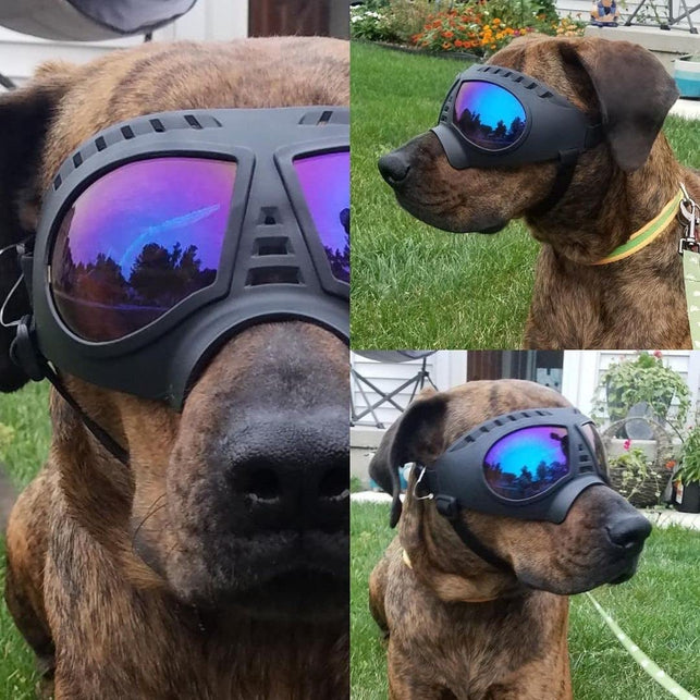 Namsan Dog Goggles Large Breed Anti-Uv Transparent Dog Sunglasses for Medium-Large Dogs Windproof Anti-Dust Antifog Soft Pet Dog Glasses for Long Snout Dogs Eyes Protection, Clear Blue