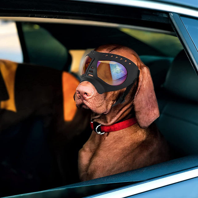 Namsan Dog Goggles Large Breed Anti-Uv Transparent Dog Sunglasses for Medium-Large Dogs Windproof Anti-Dust Antifog Soft Pet Dog Glasses for Long Snout Dogs Eyes Protection, Clear Blue
