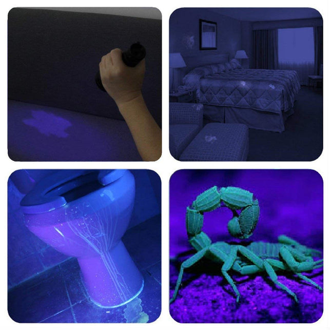 UV Flashlight Black Light UV Lights