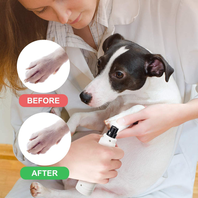 Casfuy Dog Nail Grinder with LED Light - Upgraded 2-Speed Electric Pet Nail Trimmer Powerful Painless Paws Grooming & Smoothing for Small Medium Large - The Gadget Collective