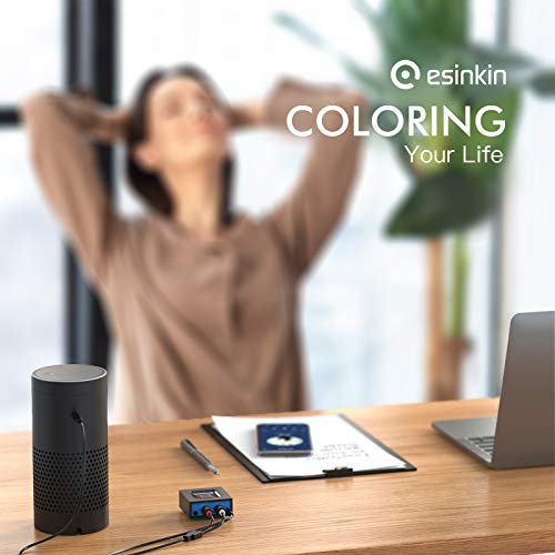 Esinkin Wireless Audio Receiver for Music Streaming Sound System Works with Smart Phones and Tablets, Wireless Adapter for Speakers - The Gadget Collective