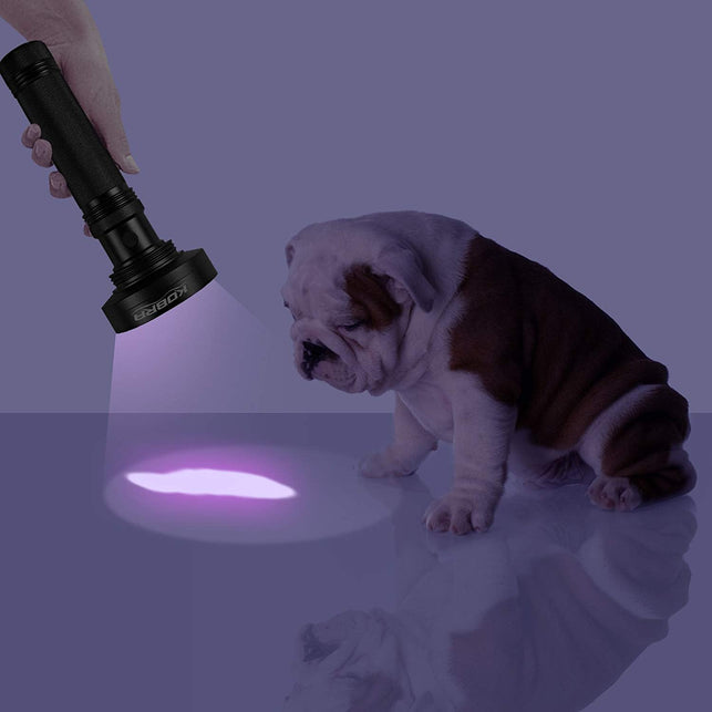 KOBRA UV Black Light Flashlight 100 LED #1 Best UV Light and Blacklight For Home & Hotel Inspection, Pet Urine & Stains - Ultra Intensity 18W - The Gadget Collective