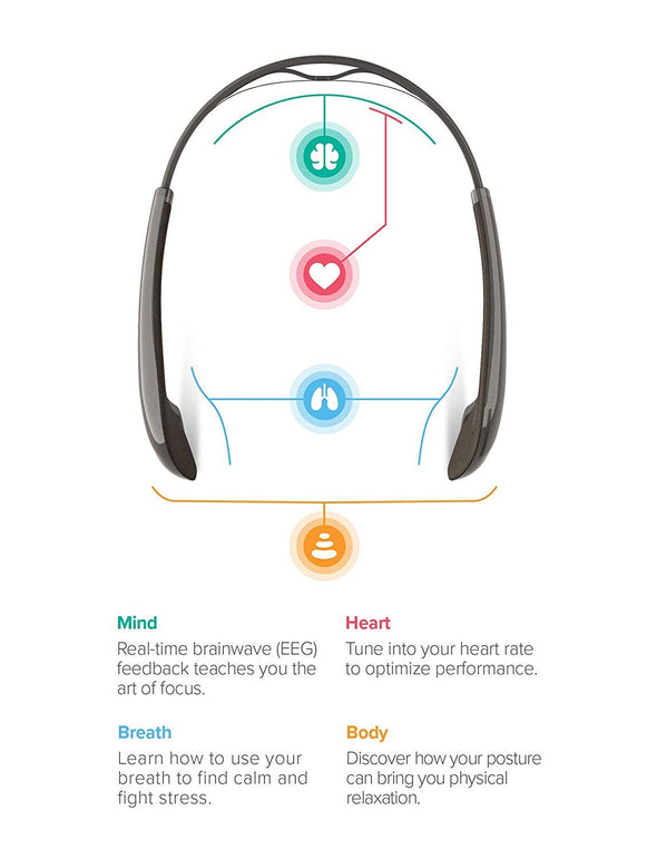 Muse 2 The Brain Sensing Headband - The Gadget Collective