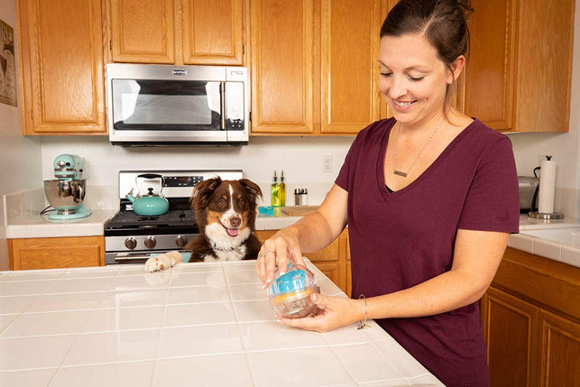 Pet Zone IQ Treat Ball - Adjustable Dog Treat Dog Ball & Treat Dispensing - The Gadget Collective